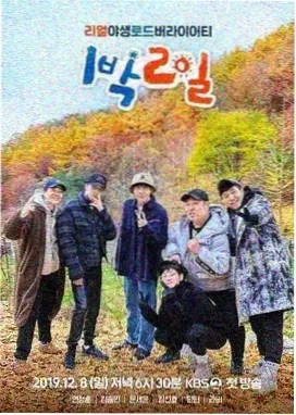 123影视 暑期档票房